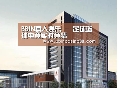 案例展示七