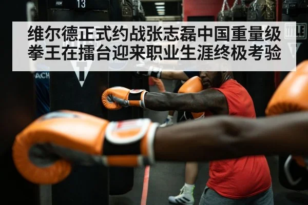 维尔德正式约战张志磊中国重量级拳王在擂台迎来职业生涯终极考验