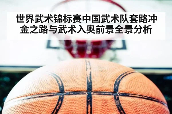 世界武术锦标赛中国武术队套路冲金之路与武术入奥前景全景分析